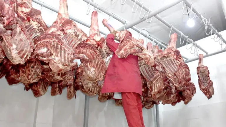 Una foto referencial de un frigor&iacute;fico con carne./ ABI