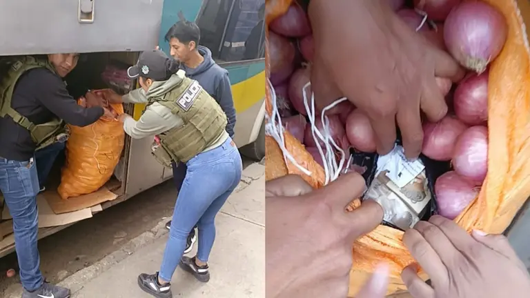 Encuentran mas de 2 millones de bolivianos en una carga de cebolla. MINISTERIO DE GOBIERNO.