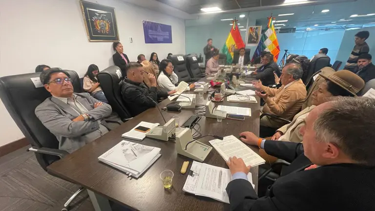 Faceta de la sesi&oacute;n de la Comisi&oacute;n de Planificaci&oacute;n de la C&aacute;mara de Diputados. DIPUTADOS