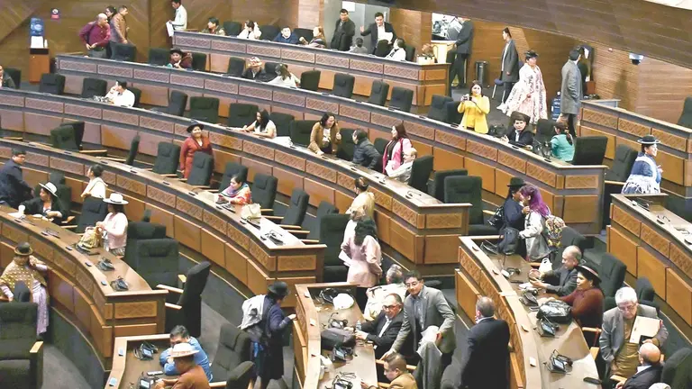 La Asamblea Legislativa Plurinacional. / APG