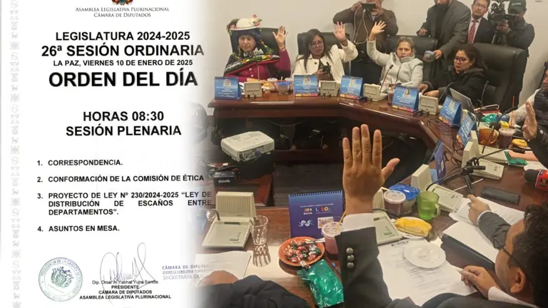 Convocatoria de la C&aacute;mara de Diputados a sesi&oacute;n ordinaria para tratar ley de esca&ntilde;os. OMAR YUJRA