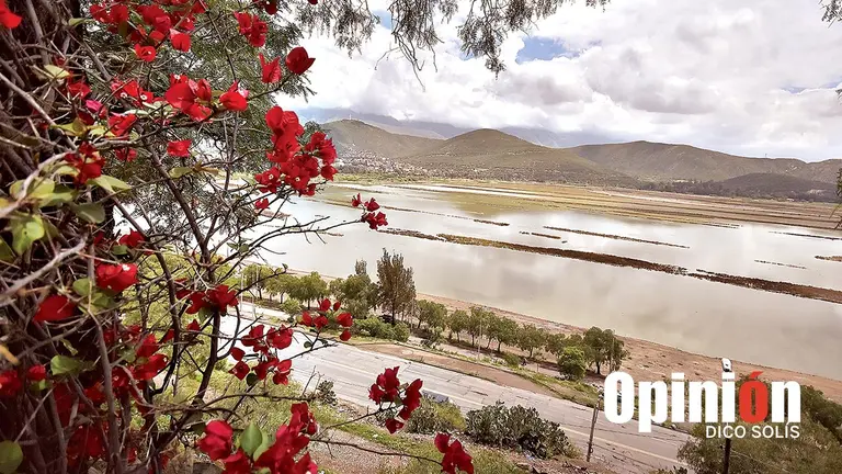 La laguna Alalay, en la actualidad./ DICO SOL&Iacute;S