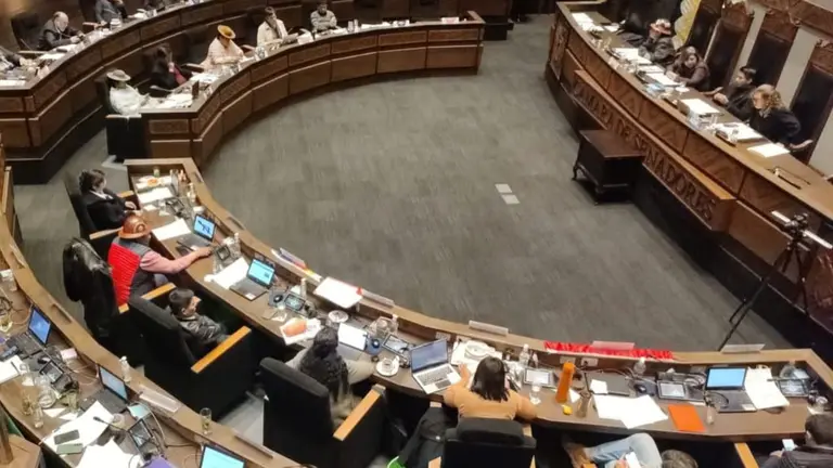 Sesi&oacute;n 36 de la C&aacute;mara de Senadores. C&Aacute;MARA DE SENADORES.