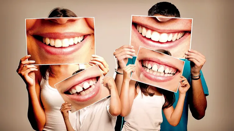Buscan regenerar dientes humanos.