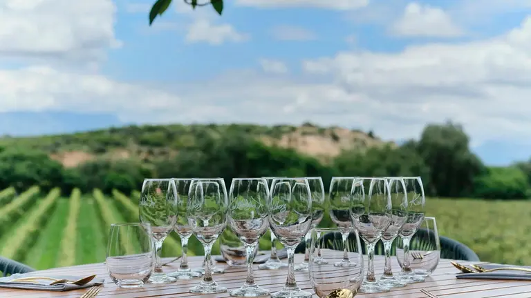 Un almuerzo en Atm&oacute;sfera, con vistas al vi&ntilde;edo de la bodega Kohlberg, Tarija (Bolivia). TNYT