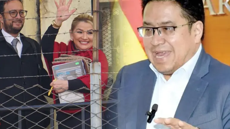 El ministro de Justicia C&eacute;sar Siles (i) y Jeanine A&ntilde;ez (d). COMPOSICI&Oacute;N OPINI&Oacute;N