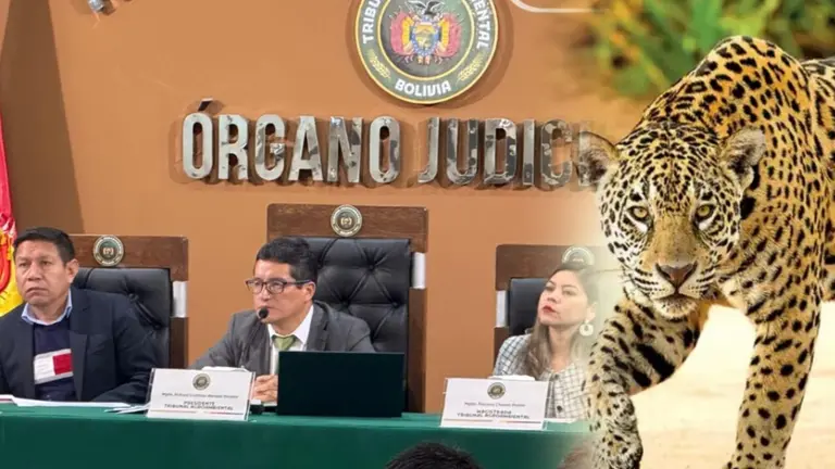 el Tribunal Agroambiental orden&oacute; a diferentes entidades p&uacute;blicas la protecci&oacute;n del jaguar y de su h&aacute;bitat. COMPOSICI&Oacute;N OPINI&Oacute;N