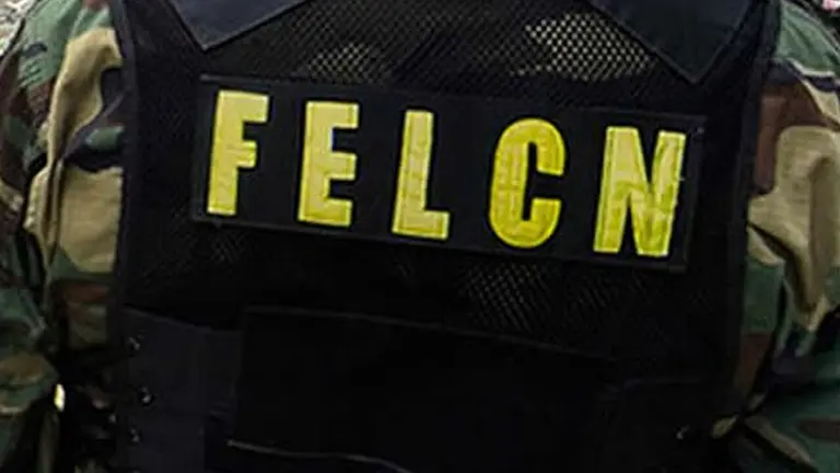 Fotograf&iacute;a ilustrativa de un funcionario de la FELCN./ABI