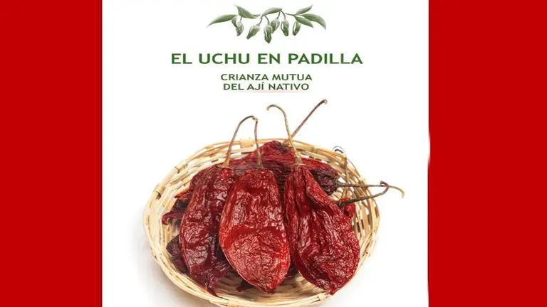 Presentan cat&aacute;logo "El Uchu en Padilla&rdquo;, el aj&iacute; como expresi&oacute;n viva de crianza mutua.