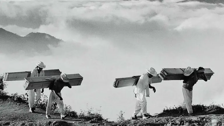 Repartidores de leña para los pueblos de la Sierra Madre Oriental, México./ SEBASTIÃO SALGADO-ICP