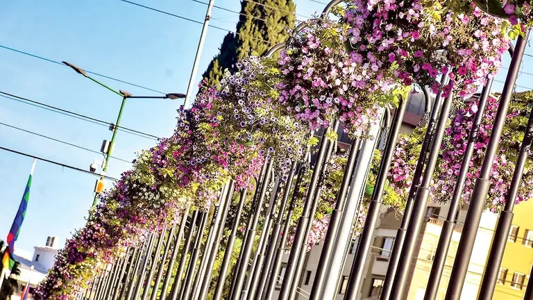 Pilares florales en la zona del puente de Cala Cala.