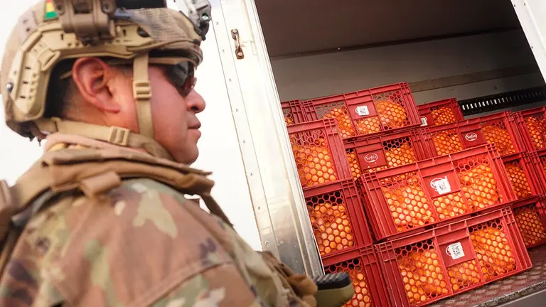 Pollo incautado tras un operativo. APG