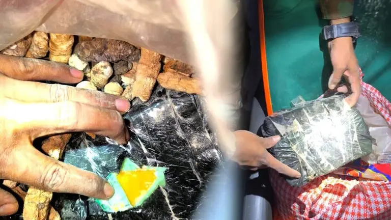 La droga escondida en una bolsa con ocas. FELCN
