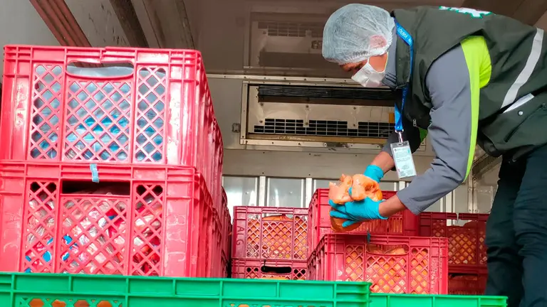 Secuestro del pollo que ten&iacute;a como destino Per&uacute;. TOMADA DE ABI