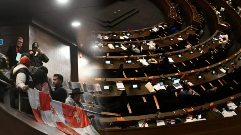 Sesi&oacute;n de la C&aacute;mara de Diputados (d) y dirigentes de Concipo (i), en calidad de oyentes. COMPOSICI&Oacute;N OPINI&Oacute;N