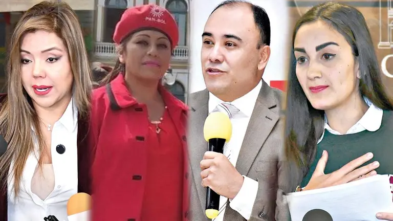 La viceministra Gabriela Alc&oacute;n, Ruth Nina, el vocal Gustavo &Aacute;vila y la diputada Luisa Nayar./ APG