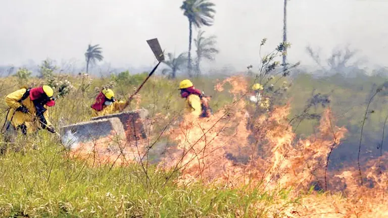 Imagen referencial de un incendio forestal en el oriente del pa&iacute;s./ ABI