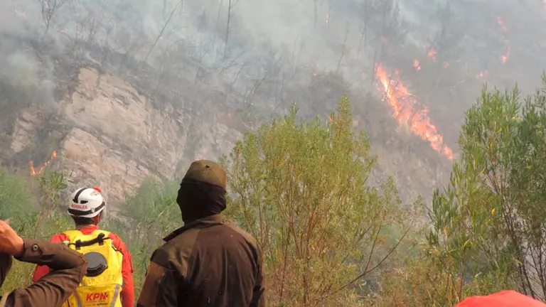 Incendio en Sama y contingente realizando trabajos. APG