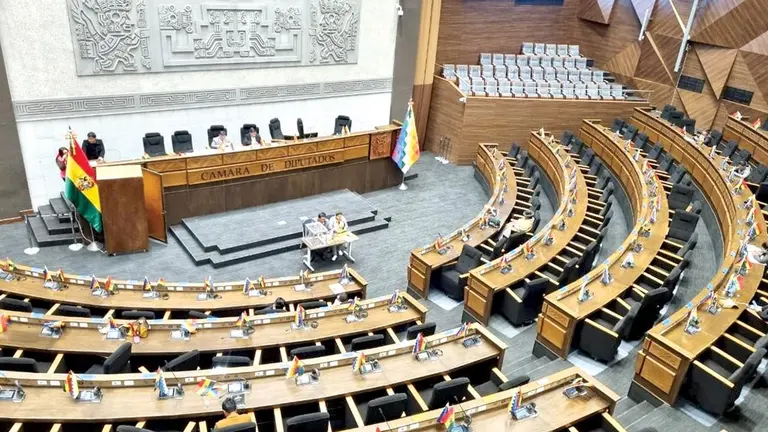La votaci&oacute;n se realiz&oacute; en la C&aacute;mara de Diputados./ ERBOL