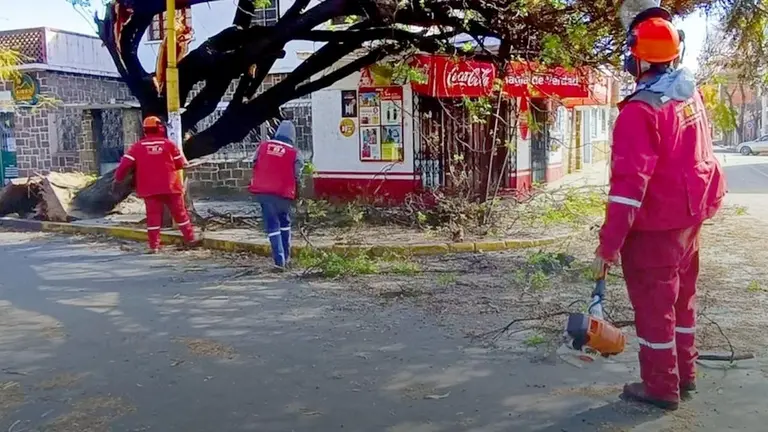 La Unidad de Gestión de Riesgos de la Alcaldía de Tarija atendió 17 emergencias por los vientos huracanados./ GAMT