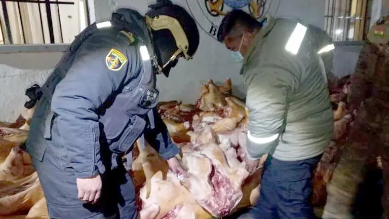 Comisan 14 toneladas de carne de cerdo en la frontera./ ABI