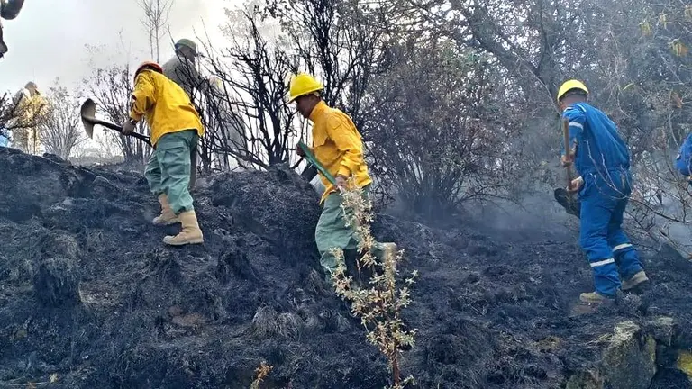 Efectivos militares sofocan un incendio. / Ministerio de Defensa.