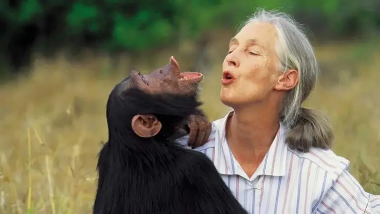 La et&oacute;loga brit&aacute;nica Jane Goodall ha muerto a los 91 a&ntilde;os de edad. RRSS