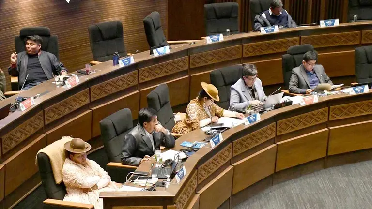 Sesión Ordinaria de la Cámara de Senadores./ APG