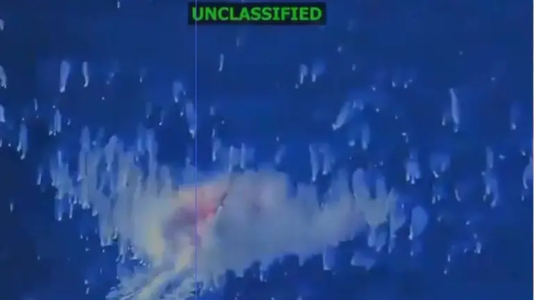Captura de video posteado en Infobae.