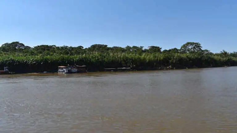 El r&iacute;o Ichilo, en Cochabamba, donde los pescadores comienzan su recorrido hasta Beni. NICOLE VARGAS