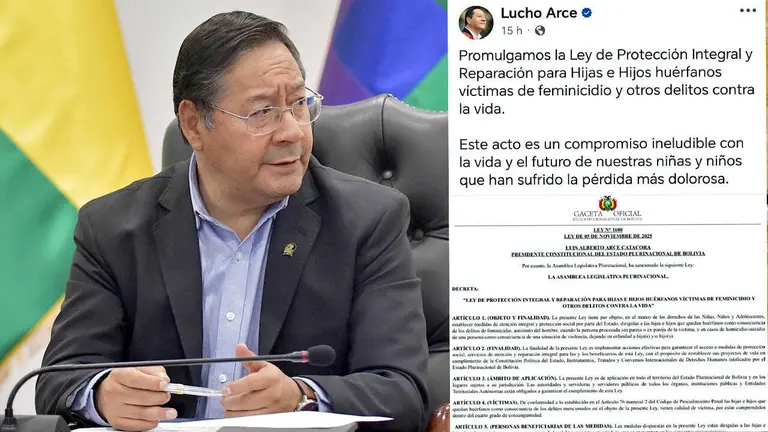 El presidente Luis Arce anunci&oacute; la promulgaci&oacute;n./ APG-LUCHO ARCE
