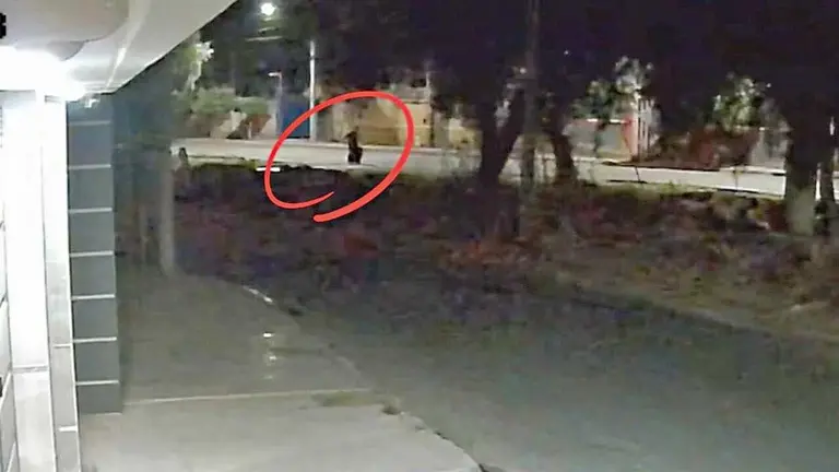 C&aacute;maras captan a un hombre con una maleta./ CORTES&Iacute;A