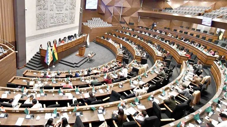 Una sesi&oacute;n de la Asamblea Legislativa Plurinacional.APG