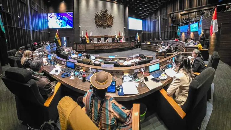 Sesi&oacute;n de la C&aacute;mara de Senadores. C&Aacute;MARA DE SENADORES