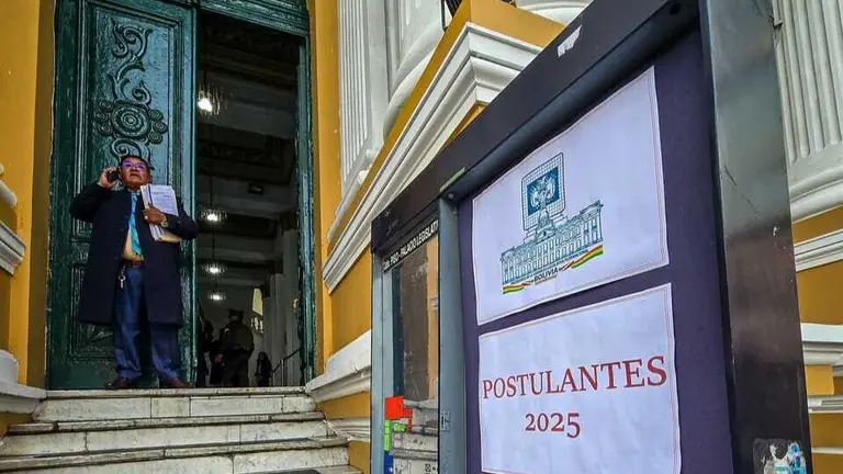 Postulaci&oacute;n a Vocales del TSE. SENADO