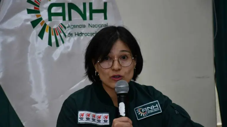 La directora de la ANH, Margot Ayala. APG