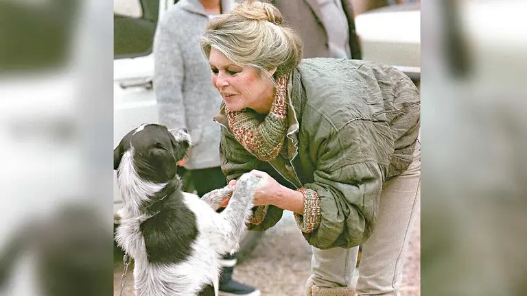 La legendaria actriz francesa Brigitte Bardot./ COMUNIDAD INTI WARA YASSI