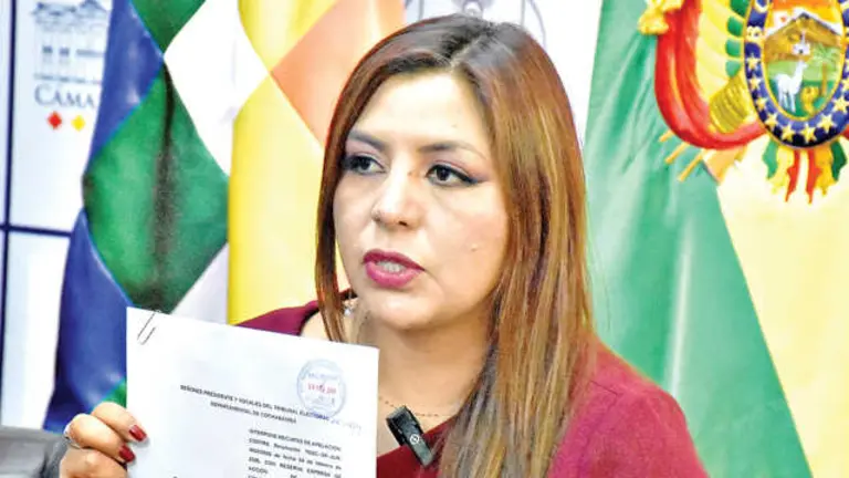 La diputada Claudia Flores, de APB-S&uacute;mate, este 10 de febrero./DICO SOL&Iacute;S