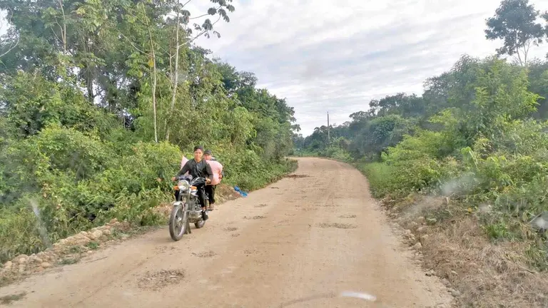 El camino que conduce al pueblo Yuqui. / MARIELA COSSÍO