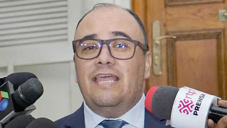 El presidente del Tribunal Supremo Electoral (TSE), Gustavo Ávila./ APG