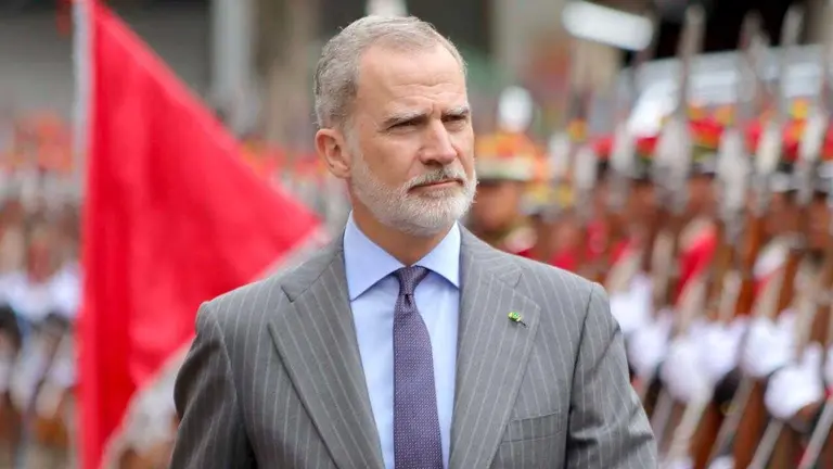 El rey de España, Felipe VI./ APG