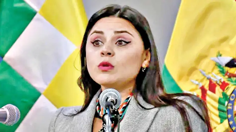 Carla Faval fung&iacute;a como vocera presidencial./ APG