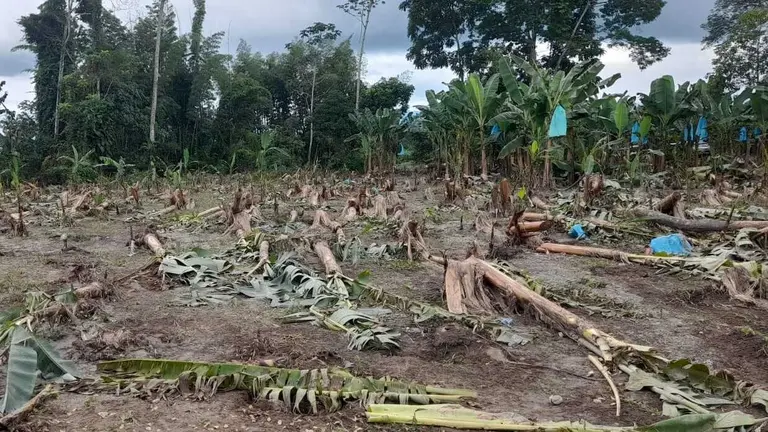 Afectaci&oacute;n en un municipio del Tr&oacute;pico. GAMPVUGR-GADC