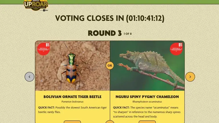 El certamen se encuentra en su tercera fase, con 16 especies en competencia. ABI