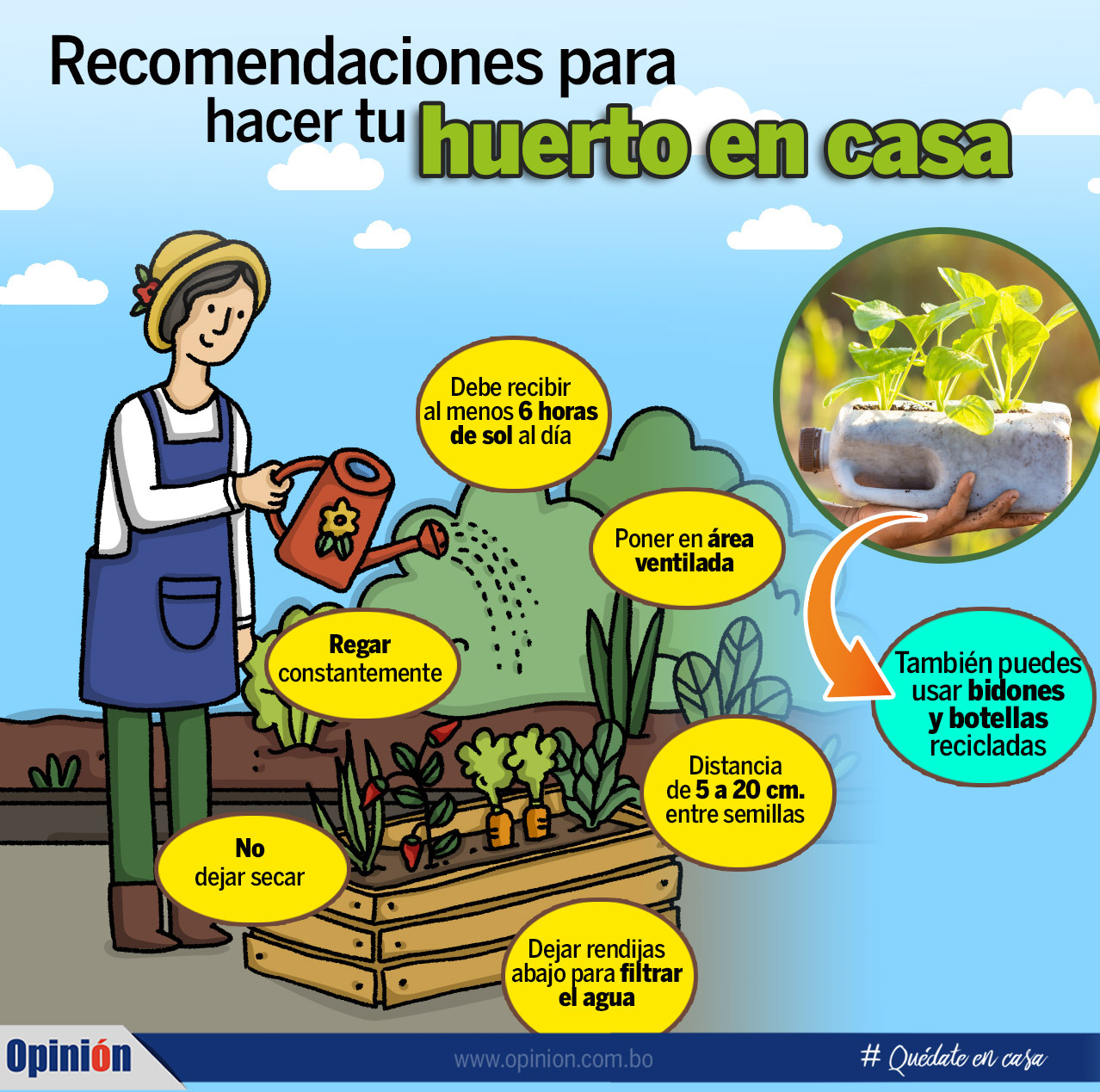 Recomendaciones para hacer tu huerto en casa. ISMAEL ESCOBAR