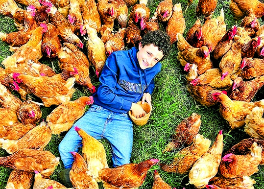 El tiktoker rodeado de sus gallinas./ INSTAGRAM