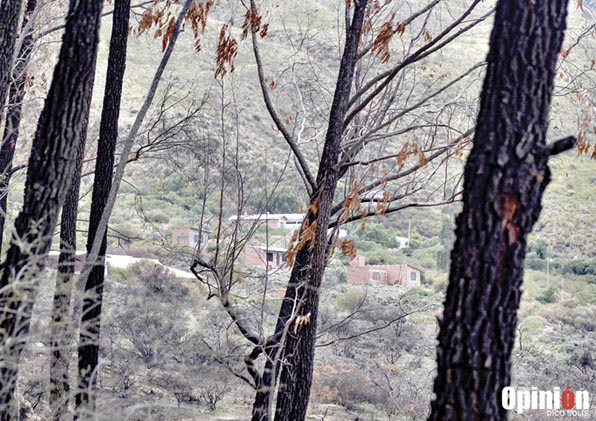 Construcciones irregulares en el Parque Nacional Tunari. / DICO SOLÍS