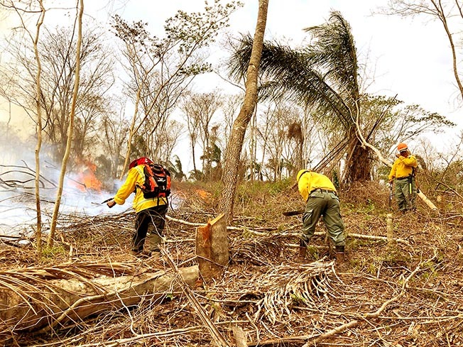 Guardaparques de Sernap atienden los incendios forestales en las áreas protegidas de Bolivia./ SERNAP