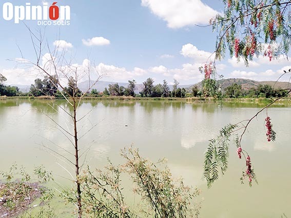 El vaso de agua de Coña Coña está casi lleno, tras las lluvias. / DICO SOLÍS